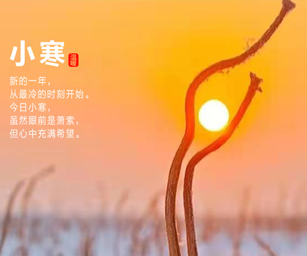 小寒雖寒，望春則暖。